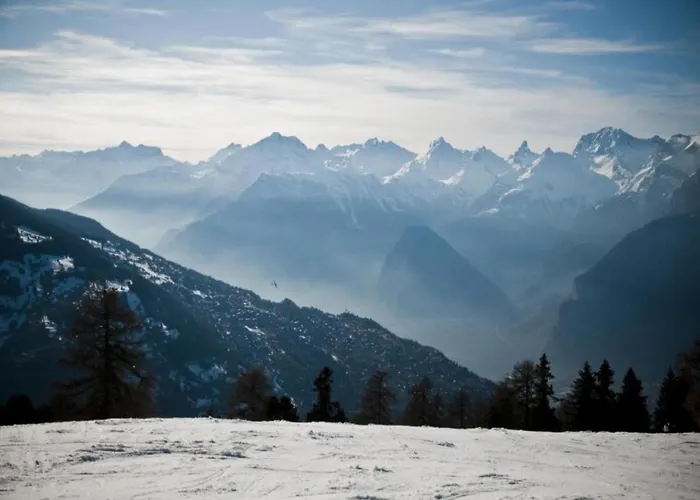 In With Valley Views 公寓