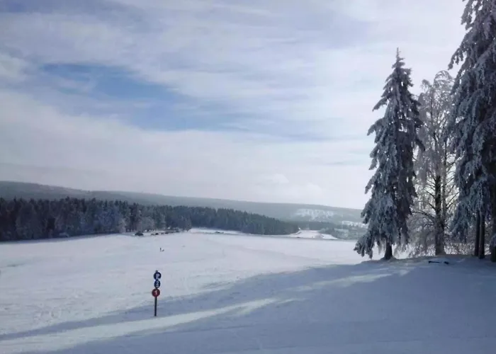 In With Valley Views 公寓 *